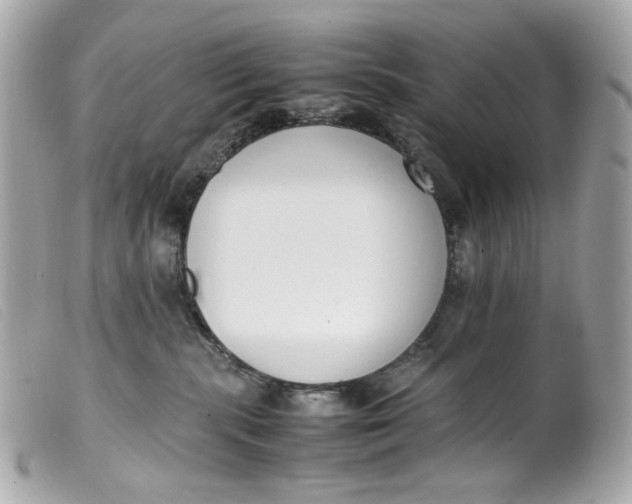 X0000099550283200805301527