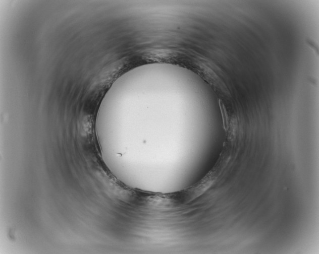 X0000099550284200805301527