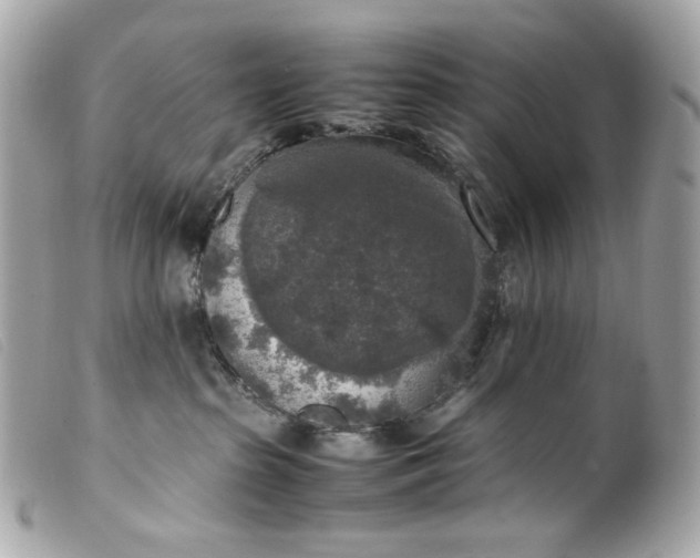 X0000099550285200805301527