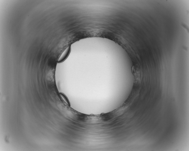 X0000099550286200805301527