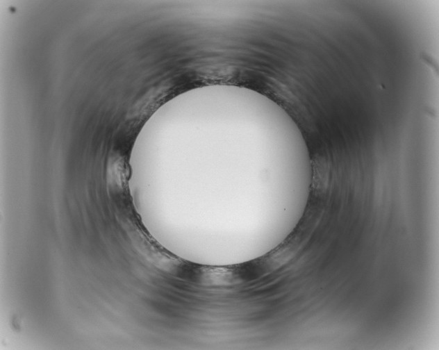 X0000099550287200805301527