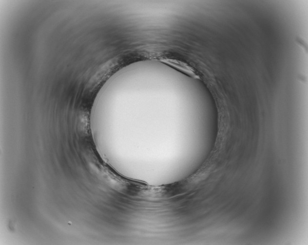 X0000099550288200805301527