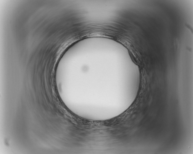 X0000099550289200805301526