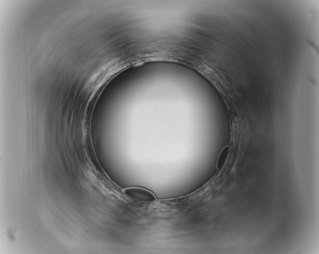 X0000099550290200805301526