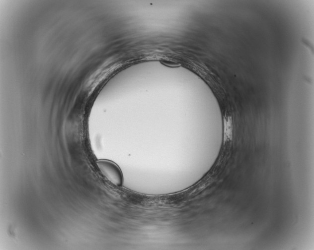 X0000099550291200805301526