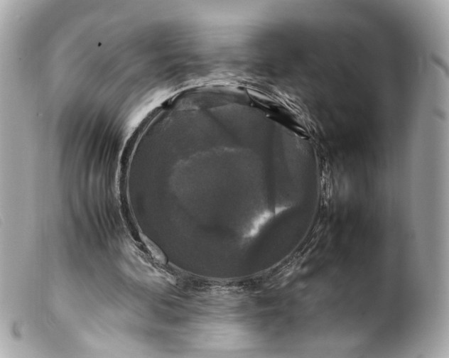 X0000099550292200805301526