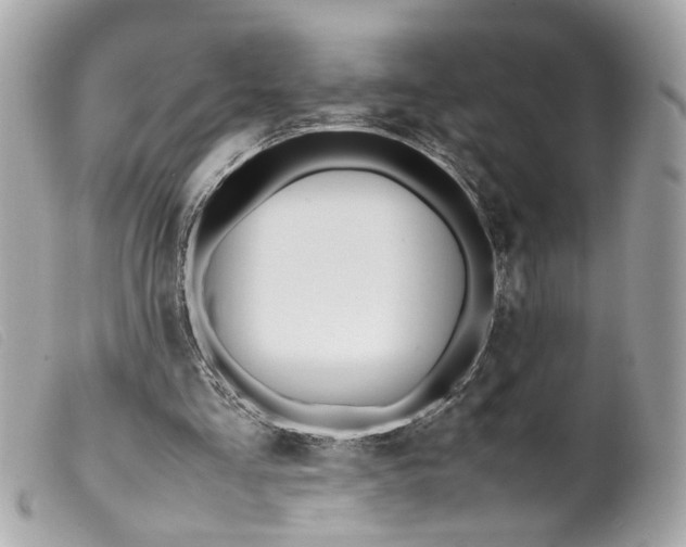 X0000099550293200805301526