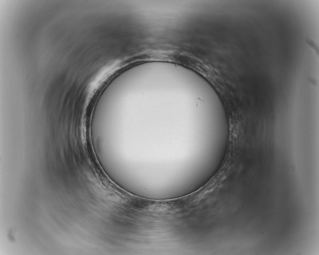 X0000099550294200805301526