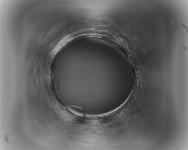 X0000099550295200805301526