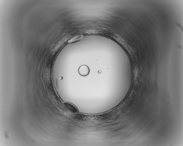 X0000099550297200805301526