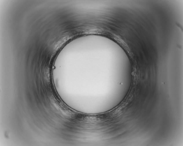 X0000099550298200805301526