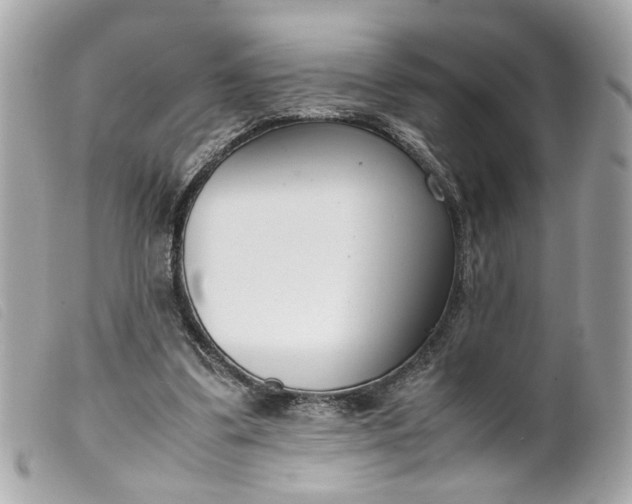 X0000099550299200805301526