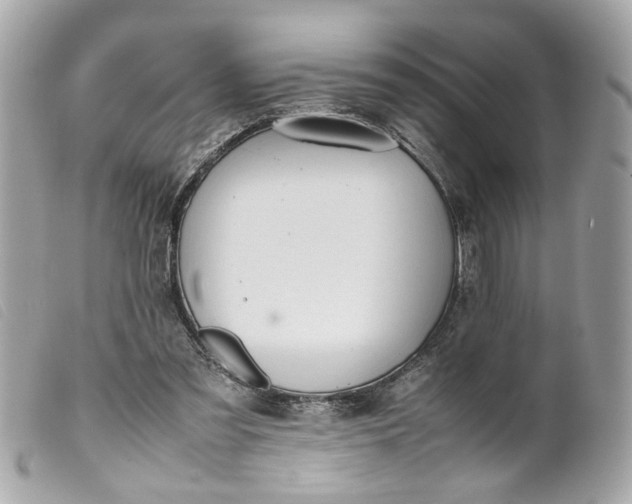 X0000099550301200805301526