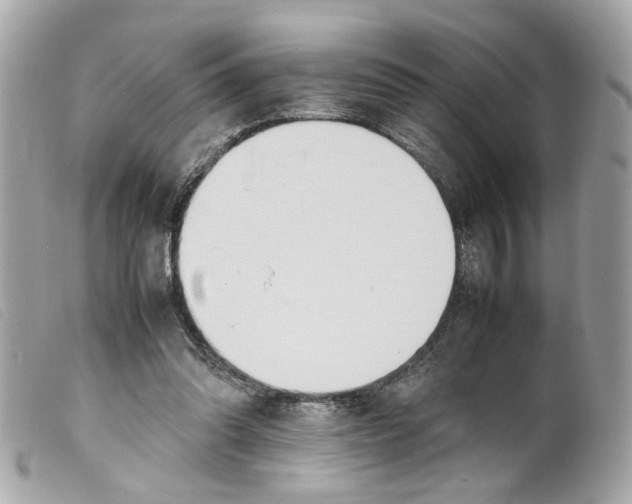 X0000099550302200805301526