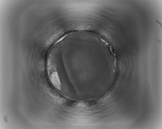 X0000099550303200805301526