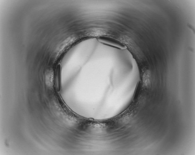 X0000099550304200805301526