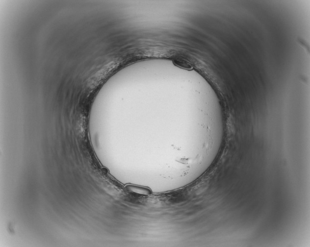 X0000099550305200805301526