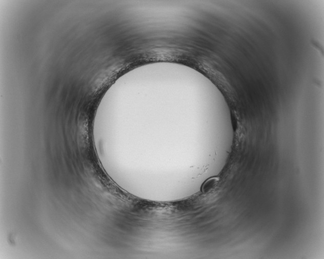 X0000099550306200805301526