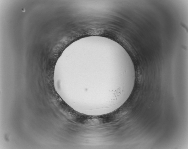 X0000099550307200805301526