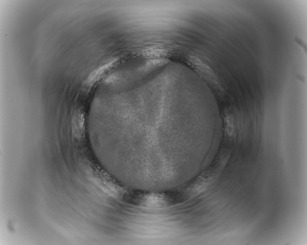 X0000099550308200805301526