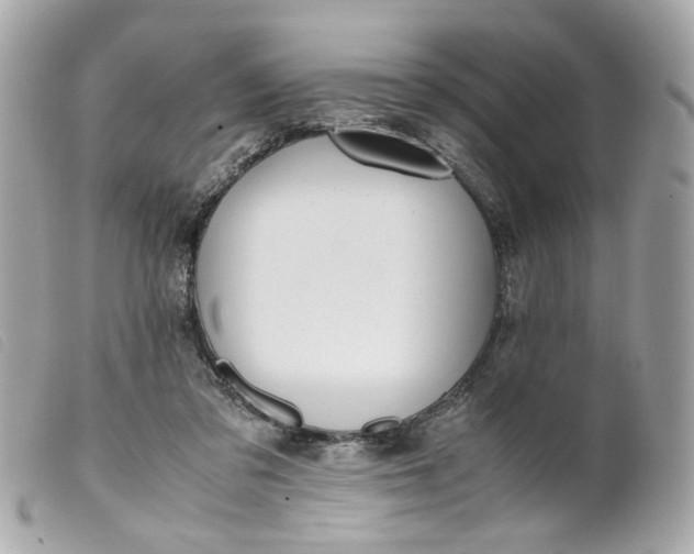 X0000099550309200805301526