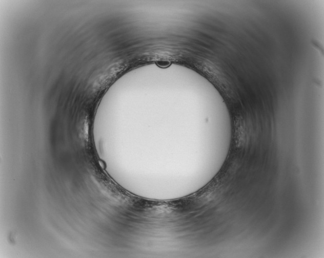 X0000099550310200805301526