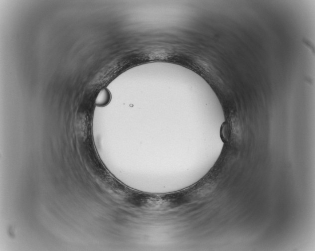 X0000099550311200805301526