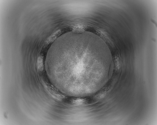 X0000099550312200805301526