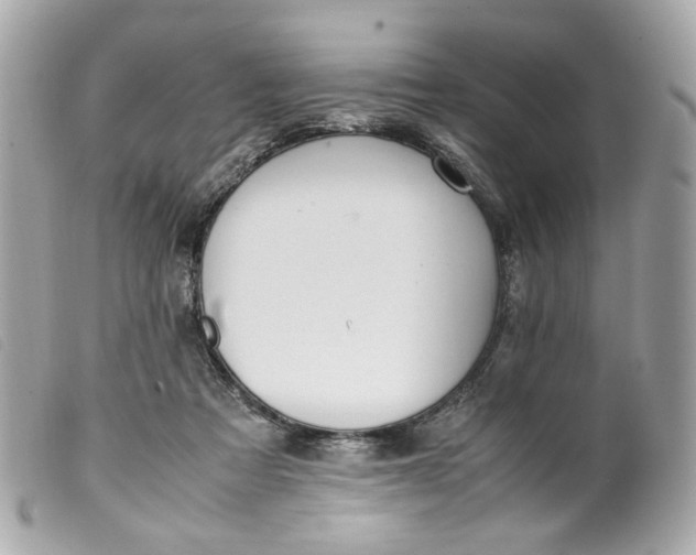 X0000099550313200805301526