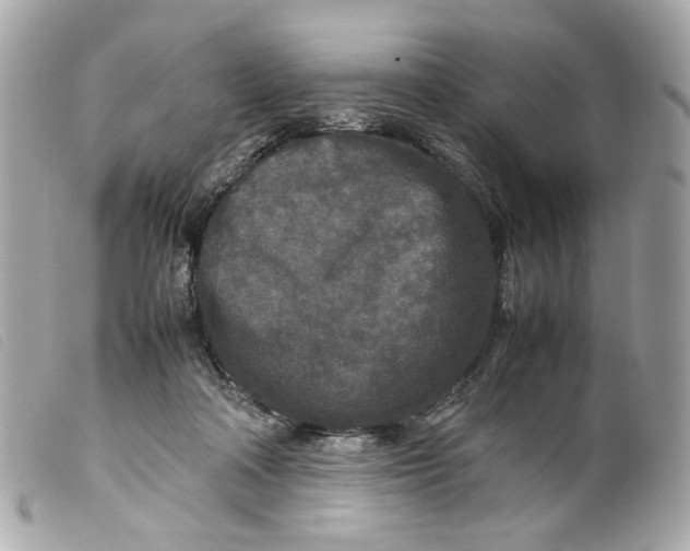 X0000099550314200805301526