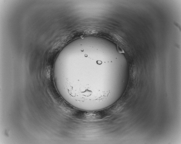 X0000099550315200805301526