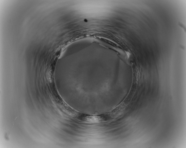 X0000099550316200805301526