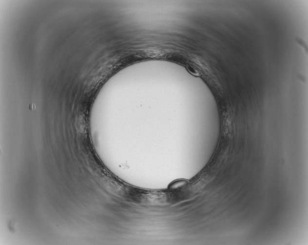 X0000099550317200805301526