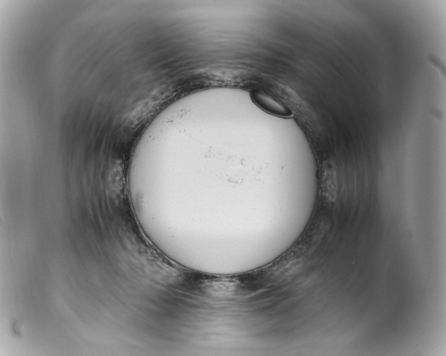 X0000099550318200805301526