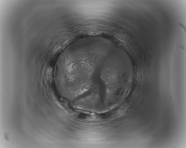 X0000099550319200805301526