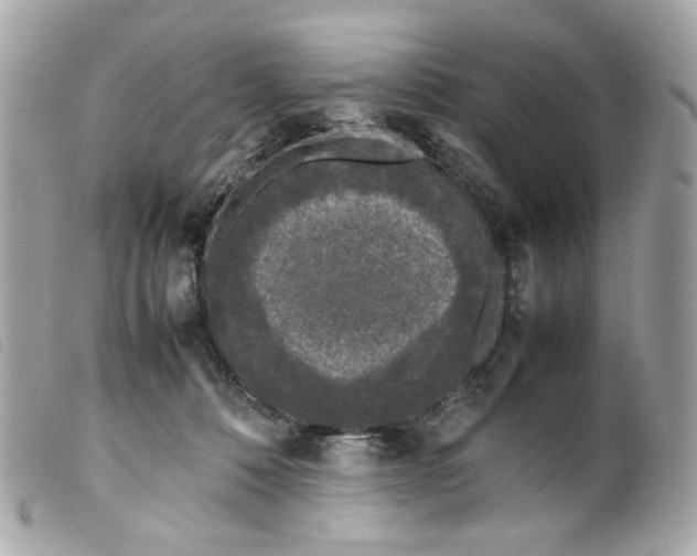 X0000099550320200805301526