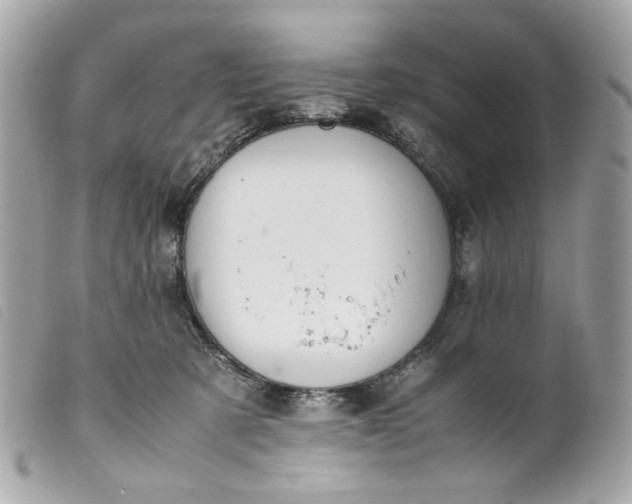 X0000099550321200805301526