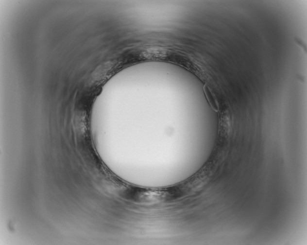 X0000099550323200805301526