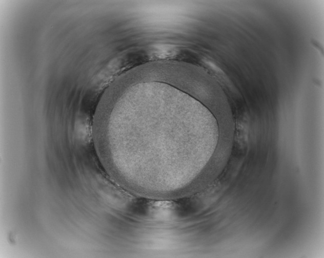 X0000099550324200805301526