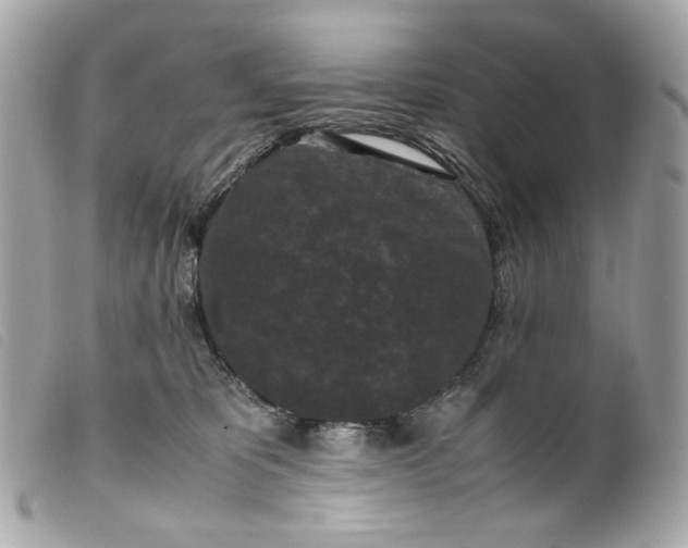 X0000099550325200805301526