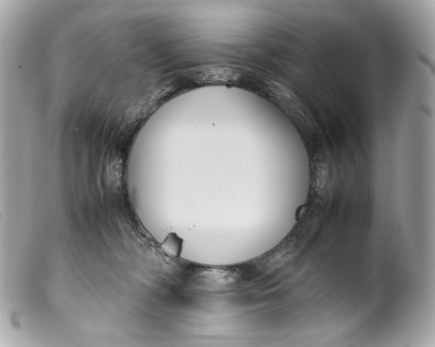 X0000099550326200805301526