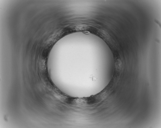 X0000099550327200805301526