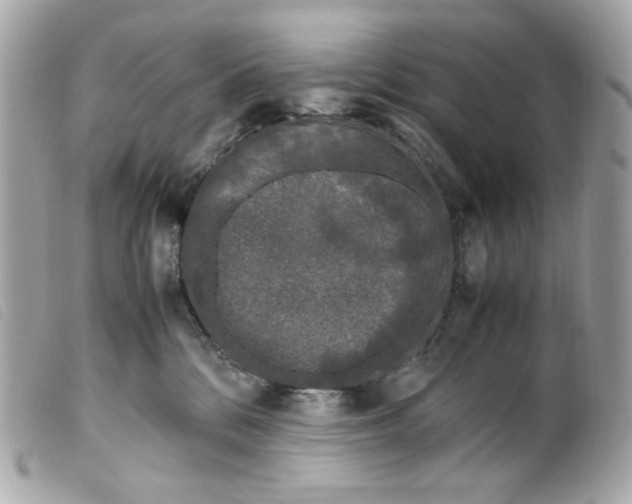 X0000099550328200805301526