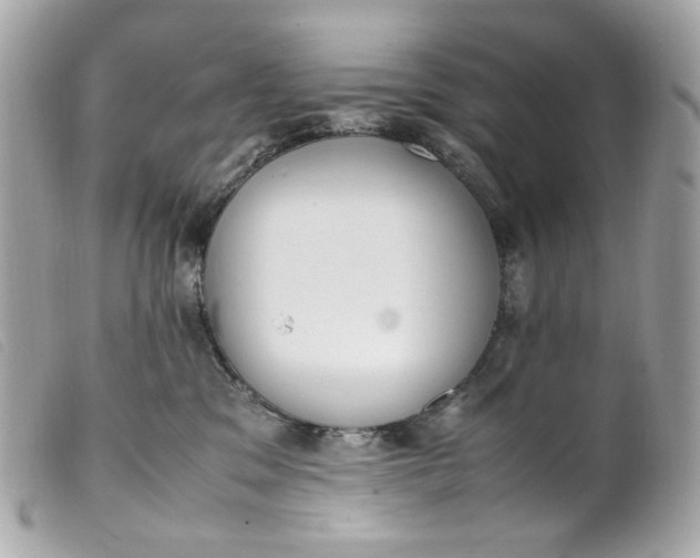 X0000099550329200805301526