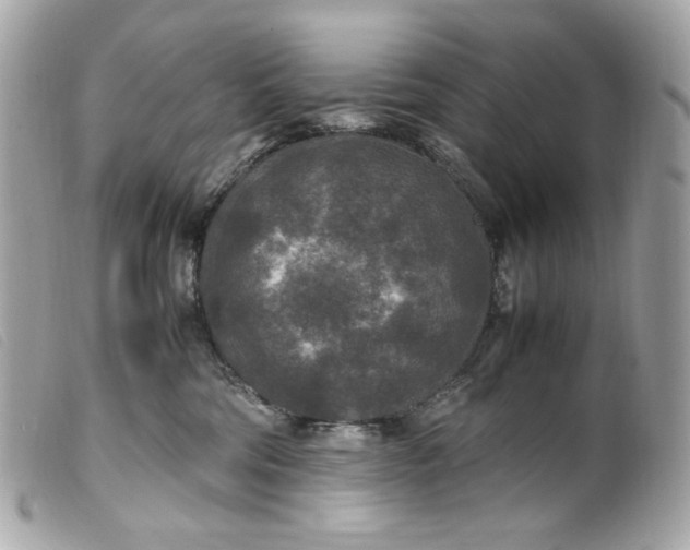 X0000099550330200805301526