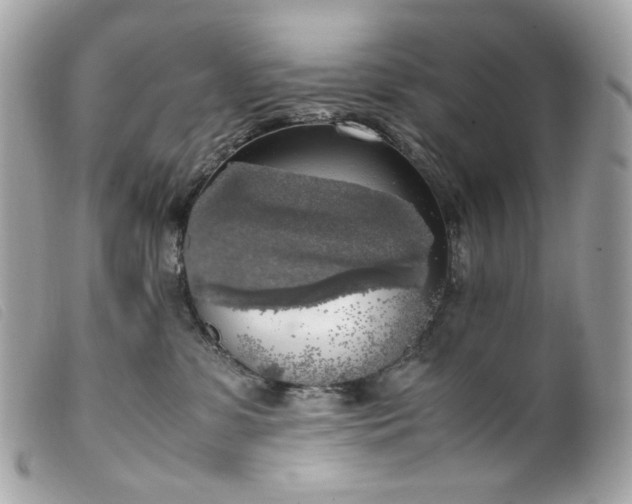 X0000099550331200805301526