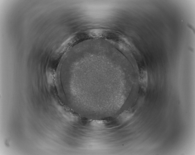 X0000099550332200805301526