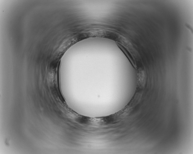 X0000099550333200805301526