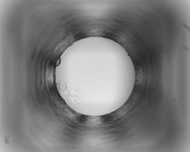 X0000099550334200805301526