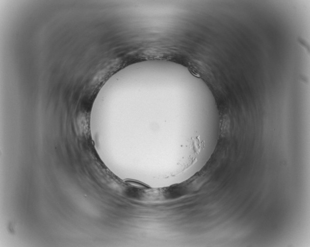 X0000099550335200805301526